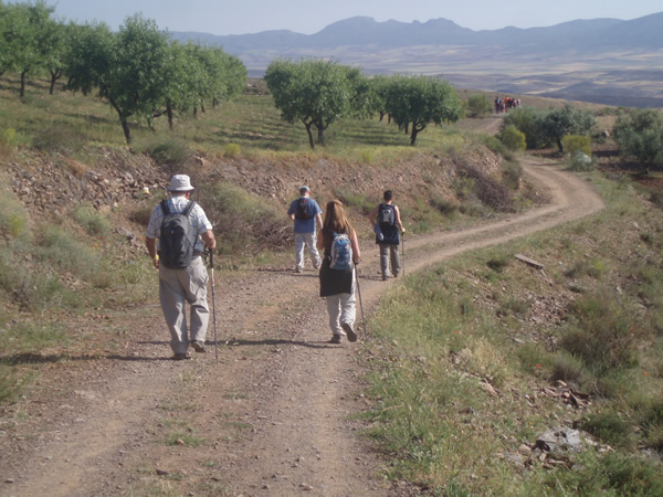 Marcha Maestro Zapatero en Brea